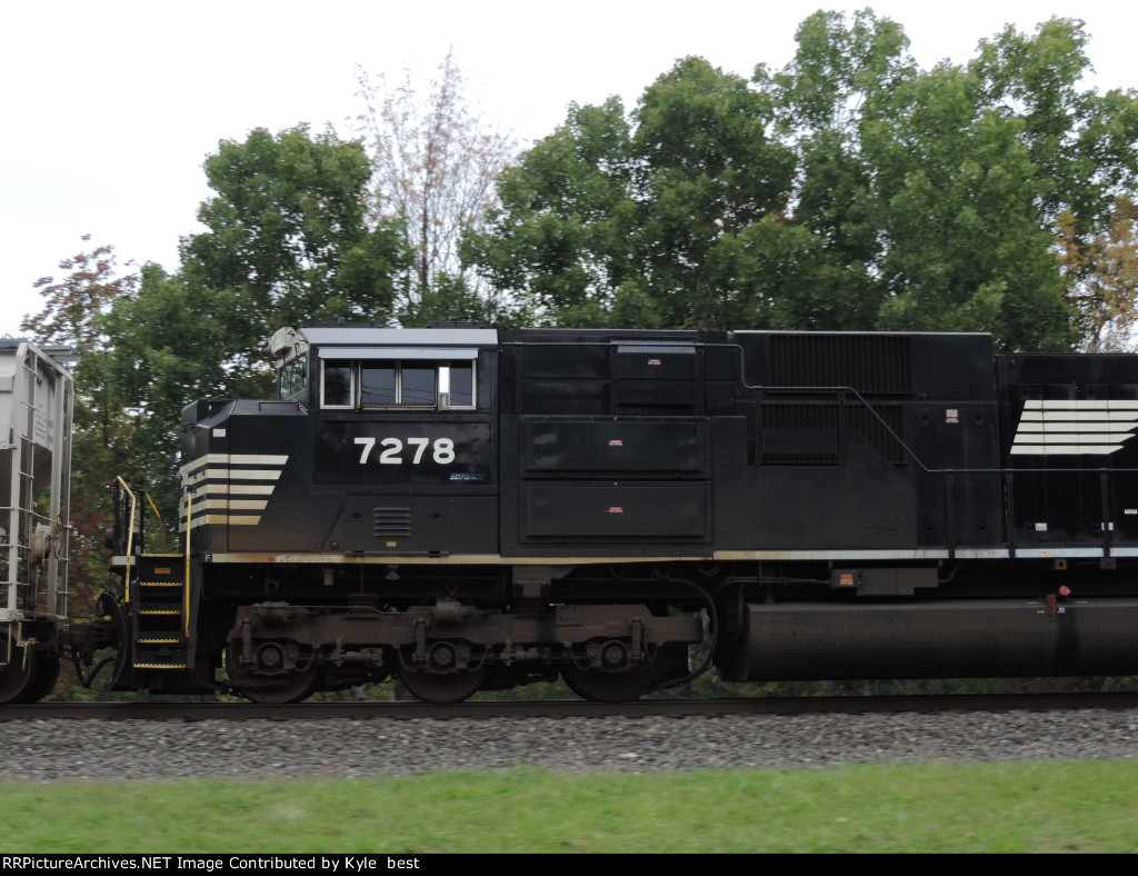 NS 7278 close up 